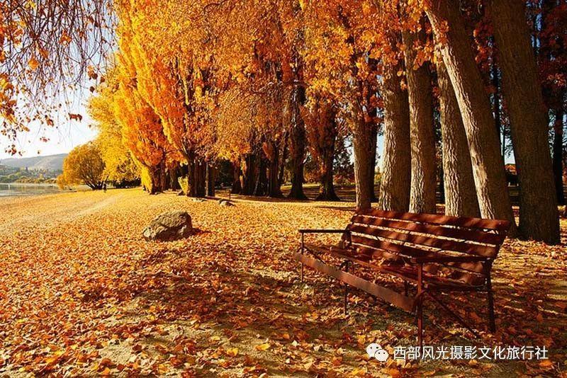寻找遗失的珠宝盒
