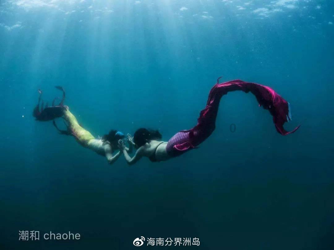 逃出林中村